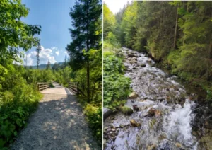Most w oddali i potok Olczyski z bliska