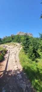 Trasa na Sarnią Skałę w Zakopanem