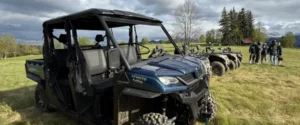 Buggy na polanie