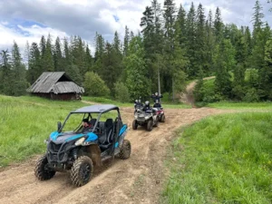 Buggy na polnej górskiej drodze