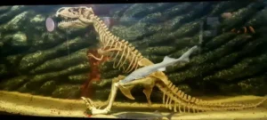 Ryba w akwarium obok szkieletu małego dinozaura