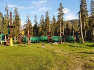 GuGu Park Linowy Zakopane – park linowy wśród drzew, niedaleko skoczni narciarskiej