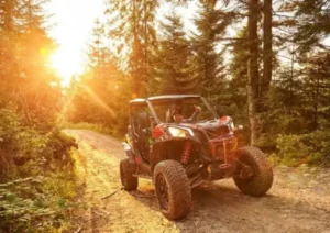 Buggy jadący polną drogą w lesie
