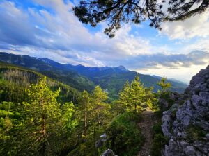 Widok z trasy na Nosal w Zakopanem