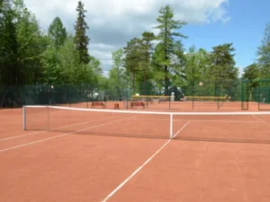 Widok na kort tenisowy z drzewami w oddali