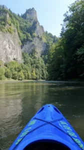 Widok z płynącego kajaku na rzekę i otaczającą naturę