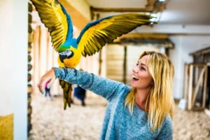 Kobieta trzymająca papugę w Papugarni Egzotyczne Zakopane