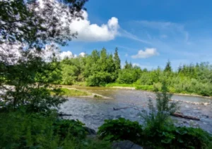 Widok na Chochołowski Potok w Witowie, niedaleko Zakopanego