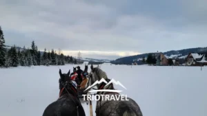 Kulig zimowy na otwartej przestrzeni z lasem w oddali