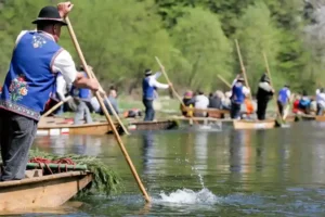 Górale odpychający się kijami na tradycyjnych tratwach flisackich podczas Spływu Dunajcem